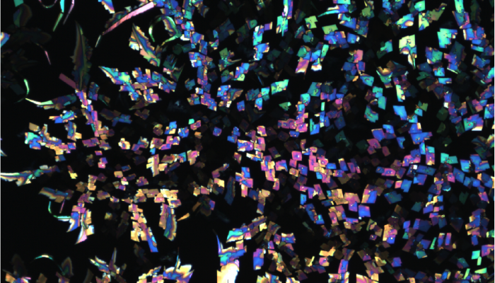 Crystal Confetti by Rebecca Boehning(2016), Second place in 2016 Image of Research Competition